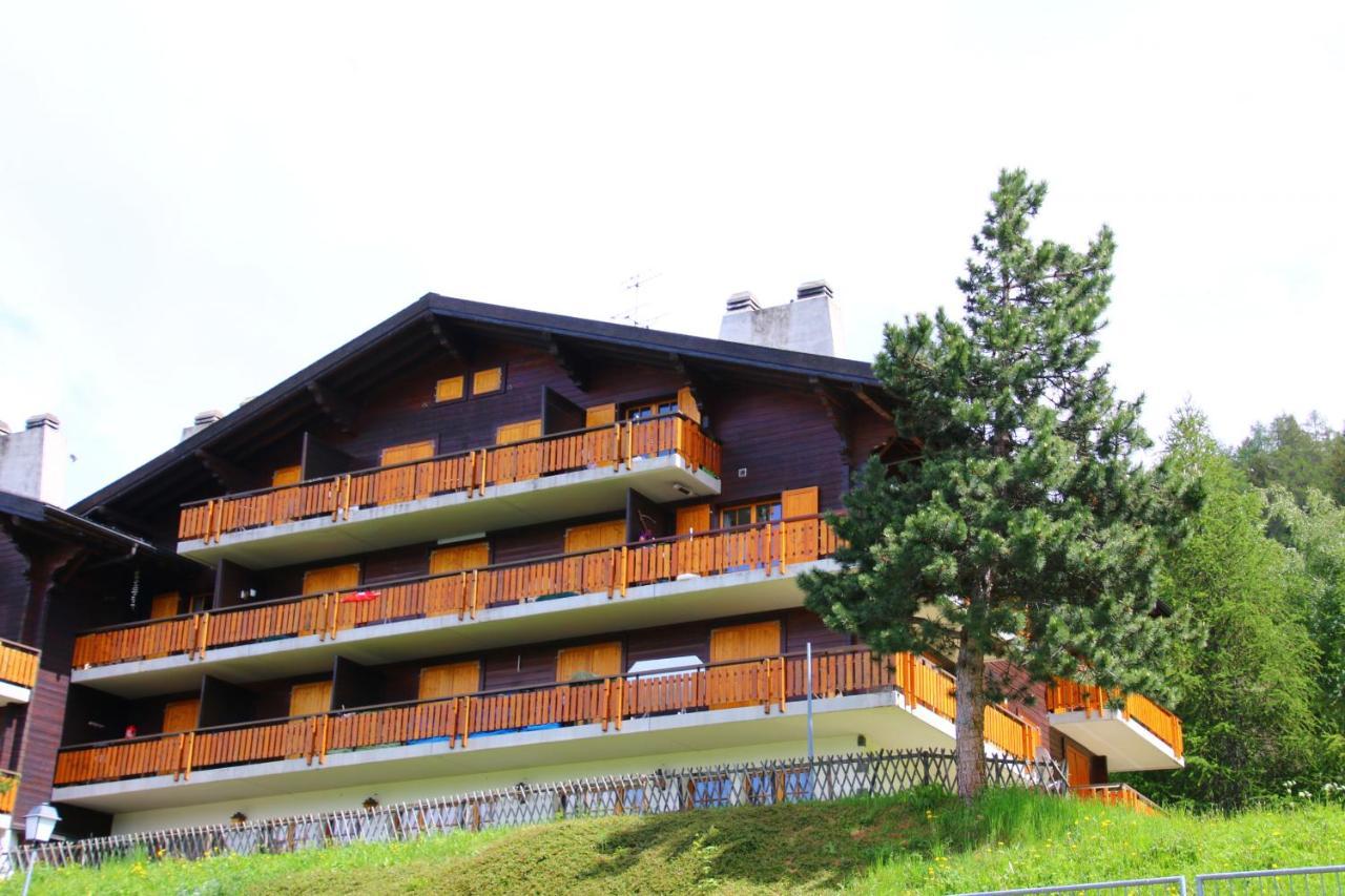 Mayens De L'Ours Mountain & Center Apartments By Alpvision Residences Agettes Exterior photo